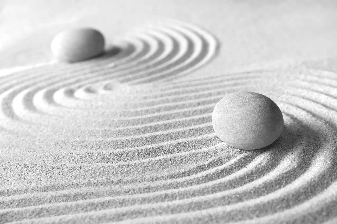 ZEN “禅” Roasters